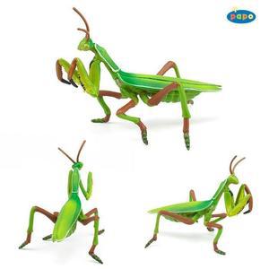 [MENOSL6J_52GP](곤충모형완구) 사마귀 (50244)