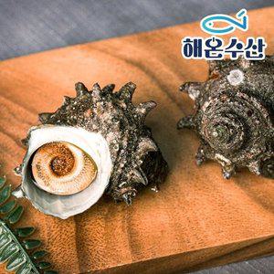 [기타][해온수산] 자연산 뿔소라 8미내외 1kg