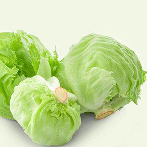 [셀러허브 패션][JH26RO22_52CX]야채 채소 식물 씨 종자 씨앗 1000립