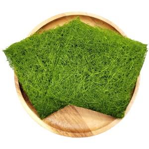 [바다향] 국내산 감태 50g(팩당10매)x2팩