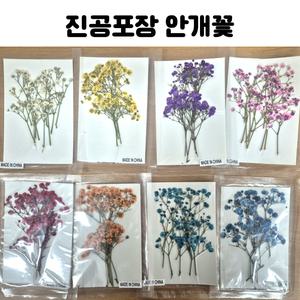 레진 공예 UV 크리스탈 레진 아트 재료 부자재 진공 포장 안개꽃 압화 드라이플라워 8종