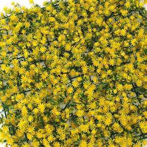 TK (2개) 정원인테리어 벽장식 인조잔디 50x50cm 돌나물꽃