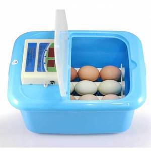 TK 부화기 대형 신형 9란 어린이 학교 과학 수업 교구 실험 교육완구 과학장난감