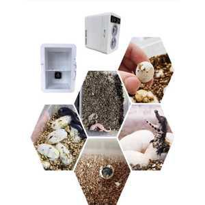 파충류인큐베이터 디지털 거북이알 케이지 키우기