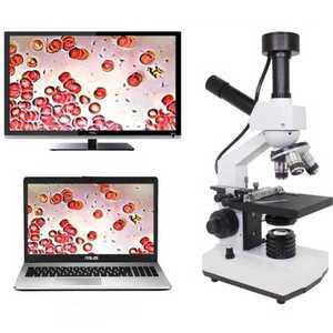 고화질 혈액 현미경 세포 검사 진드기 현미경