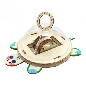 DIY 고무동력 거북이 (1인용 포장)