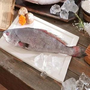 [어부수산](소비기한 26/01/25) 여수 어부수산 국내산 반건조 통민어 총10마리