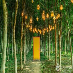 [서해금빛열차&관광택시]아름다운 예산 아그로랜드&예산시장