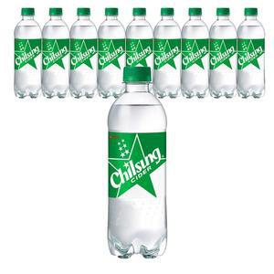 칠성사이다 500ml X 10입 PET 업소용