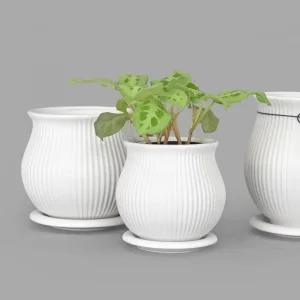 마이플랜트 줄무늬 단지팟 롱 세라믹 화분 인테리어 도자기 화분받침 세트 17호(롱)