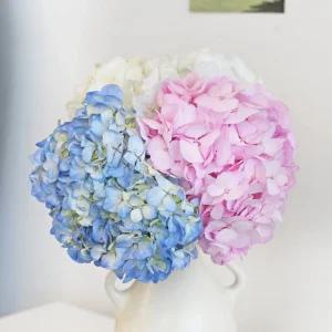 마이플랜트 생화 수국 꽃다발 꽃선물 꽃 포장 경매 꽃배달 정기구독