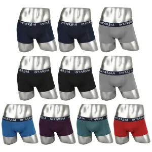 인따르시아 빅사이즈 3800 컬러 드로즈 팬티 10종세트