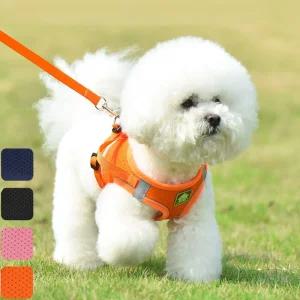 키밍 강아지 산책줄 가슴줄 야간 반사 하네스 목줄/리드줄/개줄/애견줄/고양이/강아지줄/대형견/줄자동