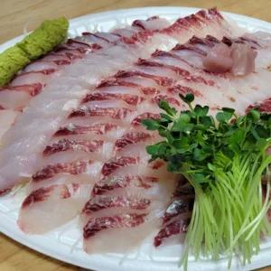 [썰어져 발송] 횟감용 숭어회 슬라이스 300g-통영 조업 바로 발송