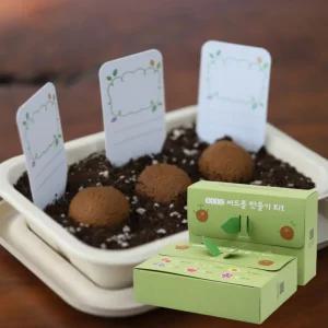 씨드볼 새싹 식물 키우기 키트 1p 학습 교구 만들기 놀이 봉선화 방울토마토 키우기