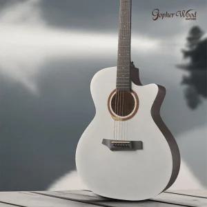 고퍼우드 i132C 입문용 컬러 통기타 풀패키지 펄 더스트