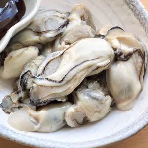 국내산 남해안 여수 통영 생굴 깐굴 1kg