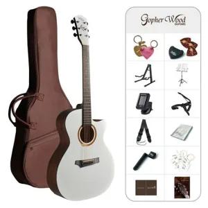 고퍼우드 i132C 입문용 컬러 통기타 풀패키지 펄 더스트