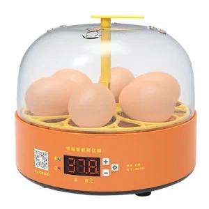 6구 회전 부화기 달걀 초등학교 어린이 병아리 키우기