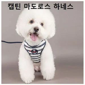 [콩심팥심]강아지 산책 하네스세트 애견 목줄 반려견 가슴줄 애견산책줄 개줄