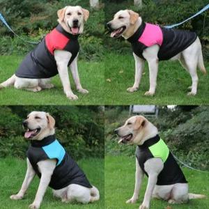 투톤 하네스 패딩4종 강아지 조끼