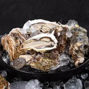 [엠픽] 거제도에서 직접 키운 석화 5kg