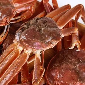 싱싱햇 영덕대게 국산 영덕 활 대게 1kg