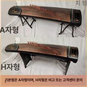 입문용가야금 초보자 연주 학교