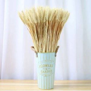 벼이삭 밀 인테리어 보리 조화 DS 5N 촬영 인조 보리이삭 소품 50수 가을 장 원색의