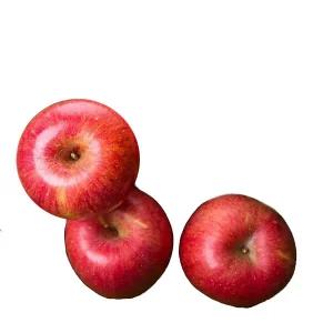 착한식탁 가정용 햇 부사 사과 10kg 꼬마소과