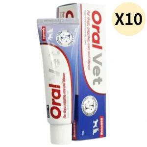 페노비스 강아지 고양이 치약 입냄새 구취 플라그 X10