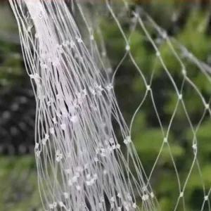 과수원 방조망 조류 농작물 보호망 애호박 그물 농사