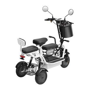 세발전기자전거 출퇴근 삼륜전기자전거 휴대용 마실용 등하원 소형 자전거 스틸 2인승