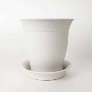 선인장 키우기 화분 사무실 실내 식물 유로 스타일