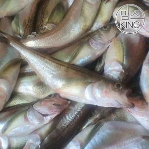 [맘스킹]속초러브마린 속초 알배기 알도루묵 10미