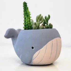 Carnic japan 미니고래 도자기화분 그레이) 나뭇잎화분 도자기화분 다크그린화분