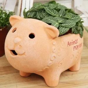 애니멀 큐티 화분  뽀글양) 큐티화분 귀여운화분 동물화분 작은화분 식물화분 선인장화분