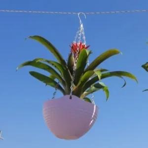 인테리어화분 배수마개 미니 벽걸이화분 행잉화분 걸이화분 행잉플랜트 벽걸이화분 공중