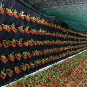 벽 화분 실내정원 벽면인테리어 벽걸이화분 식물벽 플랜트월 식물벽 실내정원