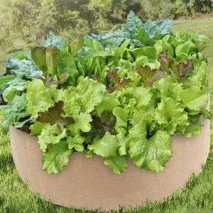 부직포화분 텃밭만들기 삽목화분 가든백 블루베리포트 옥상텃밭 블루베리포트 삽목화분