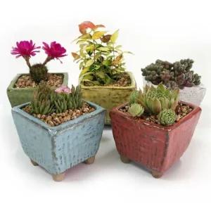 이조전통옹기 정사각화분 옹기화분 식물화분 정사각화분 옹기화분 식물화분