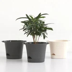 모던 미니 손잡이 스퀘어 플라스틱 화분 PETIT SEMIS 깔끔한화분 귀여운화분 모던화분