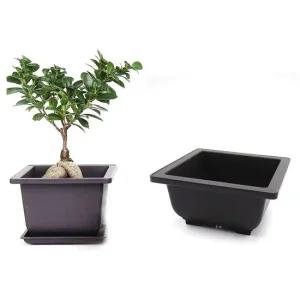 화분 미니 미니화분 정사각형 납작한화분 정사각화분 물구멍화분 텃밭