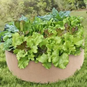 부직포화분 옥상텃밭 원예화분 텃밭만들기 삽목화분 옥상텃밭 블루베리포트 삽목화분