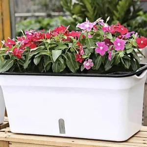 자동급수화분 화분급수기 상추키우기 식물키우기 식물키우기 화분급수기 심플한화분