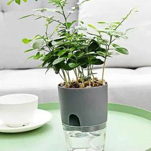 자동급수 화분 식물물주기 화분급수기 홈가드닝 화분물주기 화분급수기 자동물주기