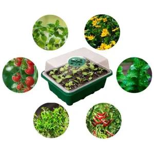 [골드스마일]미니육묘판 모종판 모종트레이 흰색모종판 12구육묘트레이