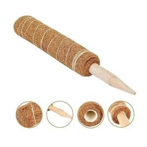 [골드스마일]TC 코코넛 야자 스틱 (식물 지주대) 코코봉 60cm