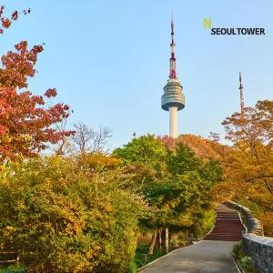 [남산] N서울타워 전망대 이용권