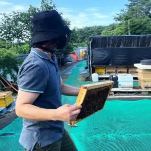 블랙 얼굴모기장 씌우는 얼굴모기장 양봉모자 벌모자 방충모자